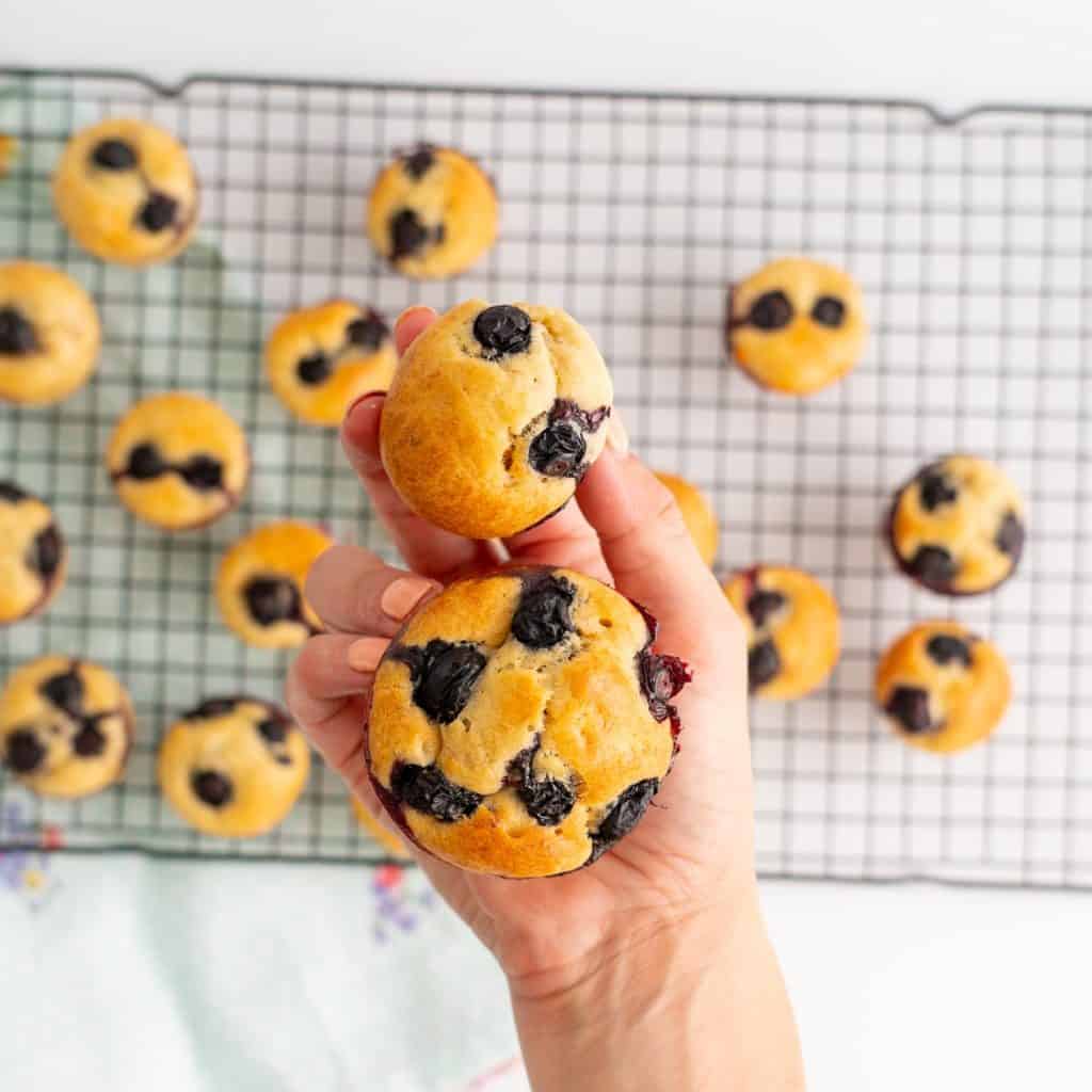 A hand holding a mini and regular sized blueberry topped muffin.